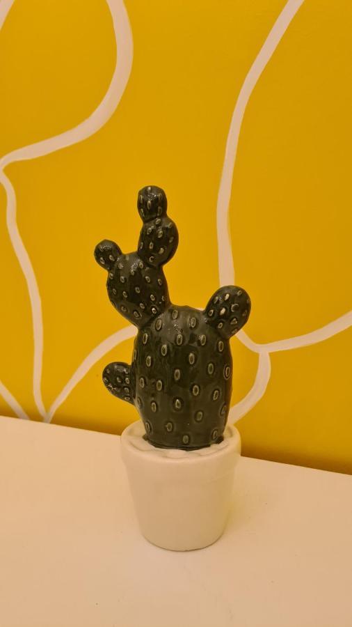 Casa Cactus Sapiddu Leilighet Palermo Eksteriør bilde